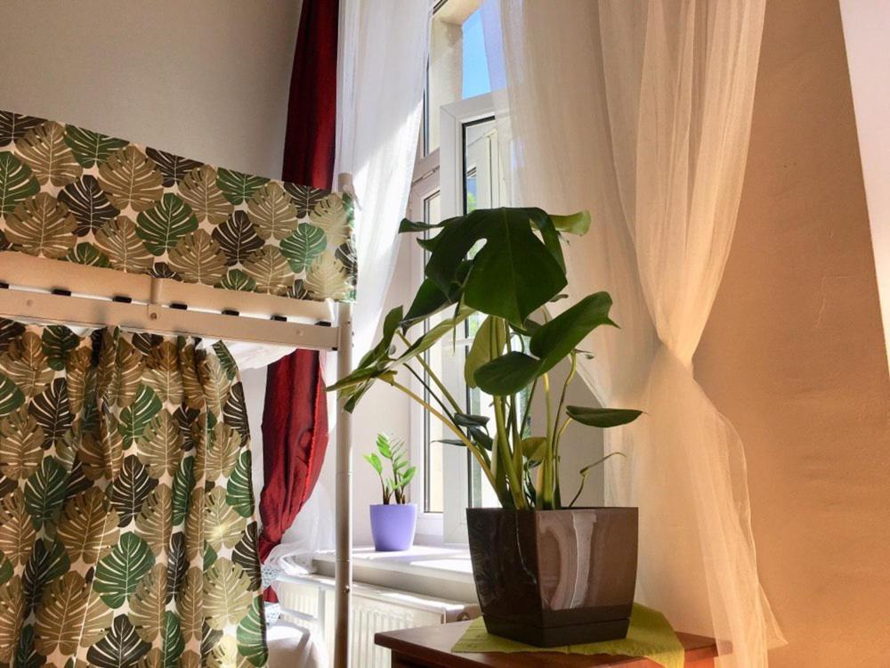 Green House クラクフ エクステリア 写真