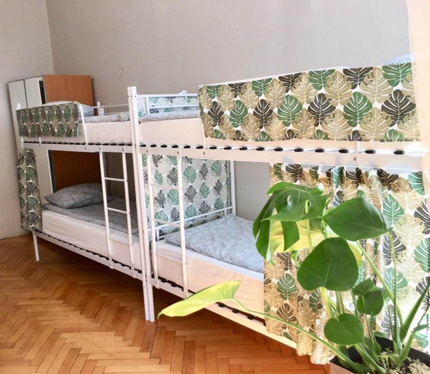 Green House クラクフ エクステリア 写真
